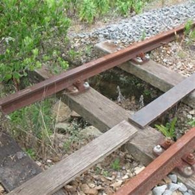 Save the Choo-Tjoe!