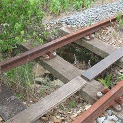 Save the Choo-Tjoe!