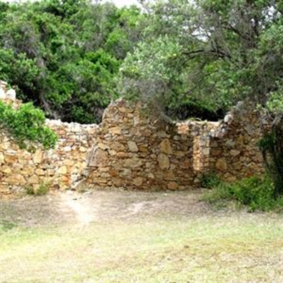 The ‘Houtschuur’ - Plett's forgotten treasure