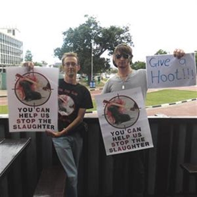 Slaughter of seals continues unabaited