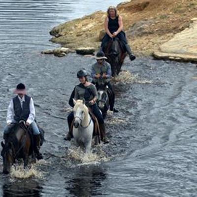 Perderit in bergroete