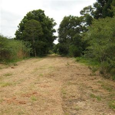 What about our wetland?