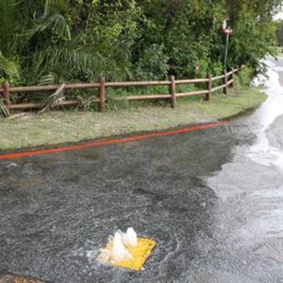 Knysna’s water woes continue