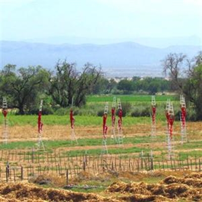 Lere-menere pronk in Oudtshoorn