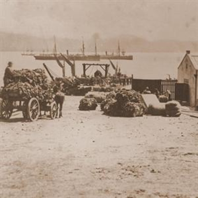 Mosselbaai-hawe in toeka se tyd