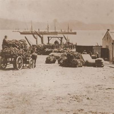 Mosselbaai-hawe in toeka se tyd