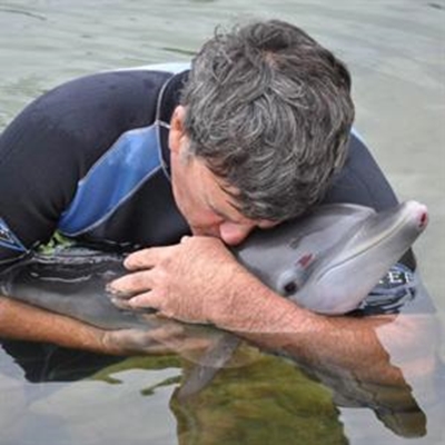 Young dolphin rescued at Herold’s Bay