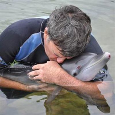 Young dolphin rescued at Herold’s Bay
