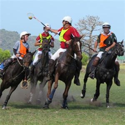 Polocrosse tournament