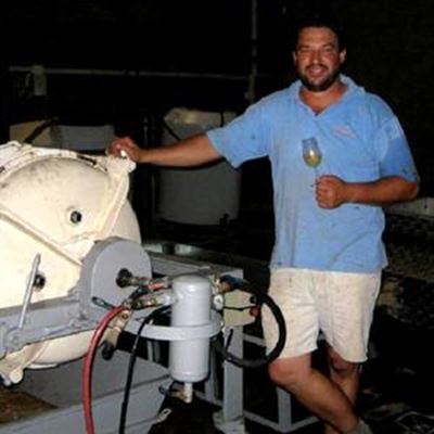 First grapes for Southern Cape