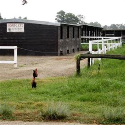 Put out to pasture