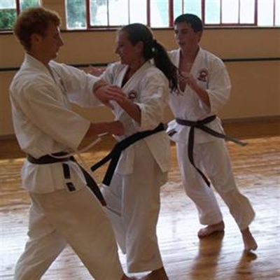 Martial artists excel at grading