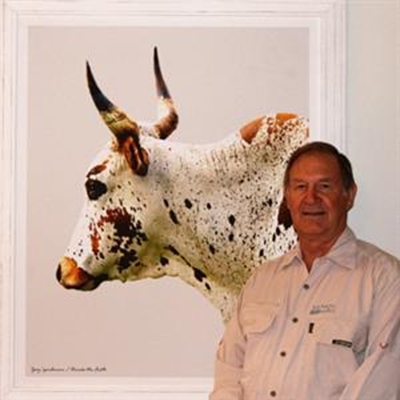 Ed Schroeder - for the love of Nguni