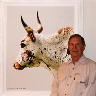 Ed Schroeder - for the love of Nguni
