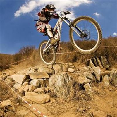 Champ on two wheels