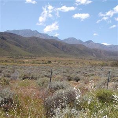 Low input costs make great Karoo a preferred farming area