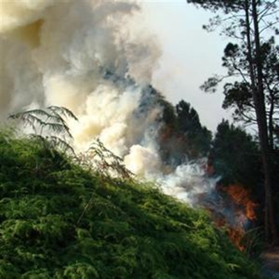 Runaway fire rages in Jonkersberg