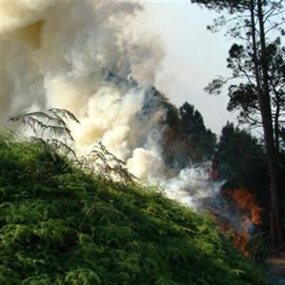 Runaway fire rages in Jonkersberg