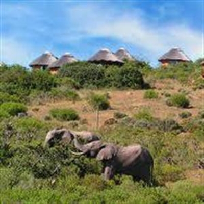 Mossel Bay getaways among top in SA