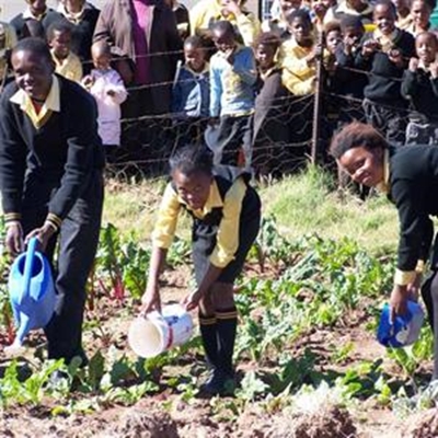 Locals teach fog harvesting in Transkei