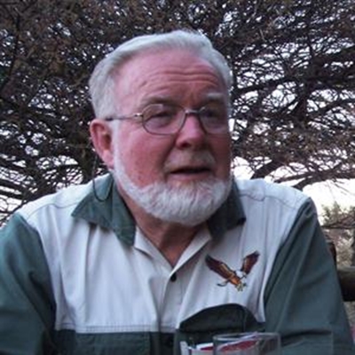 Wilderness man survives bee attack
