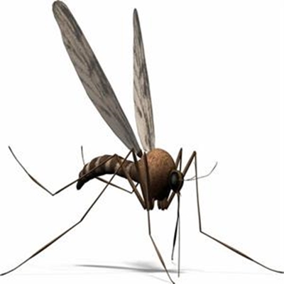 Malaria: Africa's biggest killer