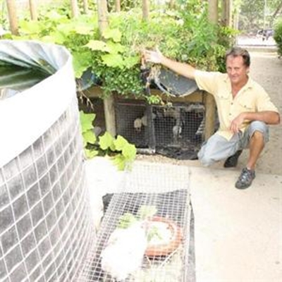 Aquaponics - produce your own food