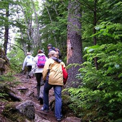 Leaders needed for Wilderness school