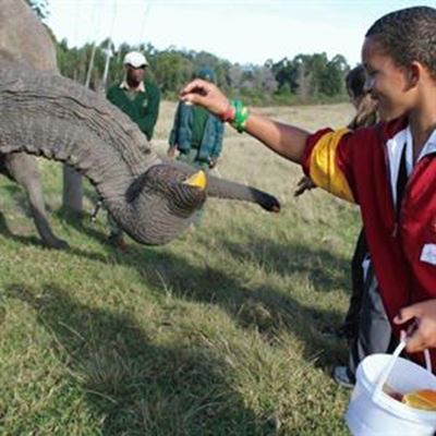 Rondevlei learners treated to elephant excursion