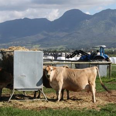 Gee boere hoër prys vir melk