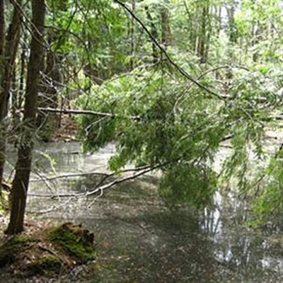 Naturalists' outing