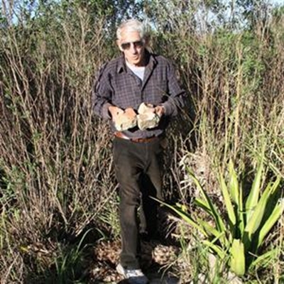 Tuinvullis-storting