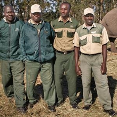 Elephant attack: experts to collect data