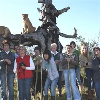 Leeuloop op Mosselbaai se voorstoep