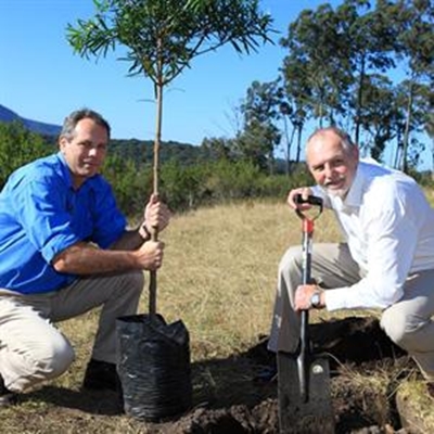 NMMU George plants indigenous Yellowwood tree to acknowledge Nelson Mandela
