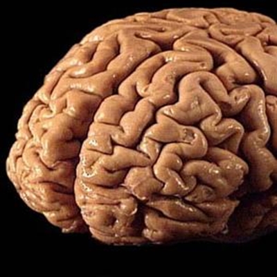 Mental Health: Keeping your grey matter in the pink
