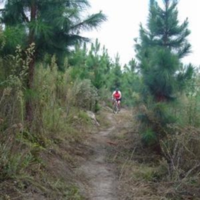 Entries open for inaugural Honey Trail