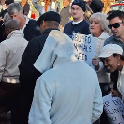 Dog-fight suspects in court soon