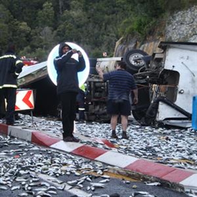 Dit reën sardiens in Kaaimans