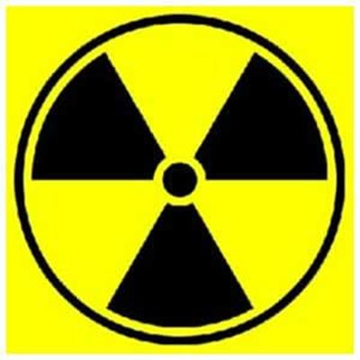 CANE responds to nuclear impact report