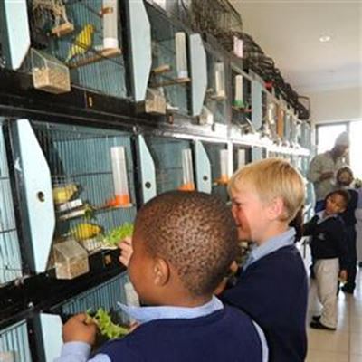 Curro learners visit feathered friends