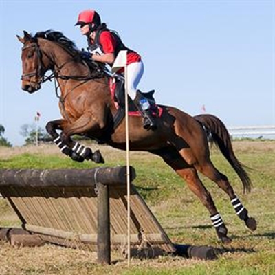 Top riding performances