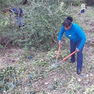 Clean-up campaign to make Rheenendal safer