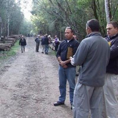 An axe to timber industry