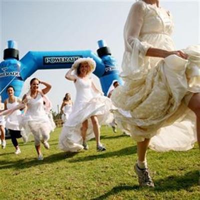 Wedding dash and Elvis Blue today