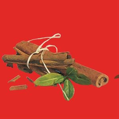 Let Cinnamon charm your tastebuds