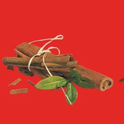 Let Cinnamon charm your tastebuds