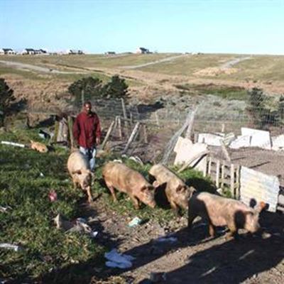 Emerging farmers desperate for land