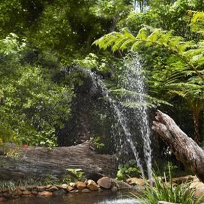 Spring walk in gardens for Welfare