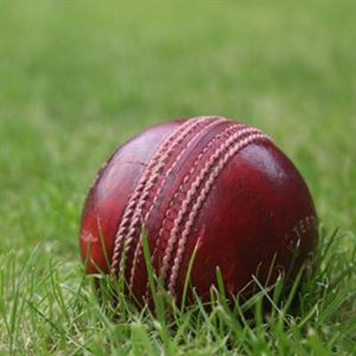 Youngsters shine on cricket field